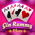 Icono del juego Gin Rummy Plus